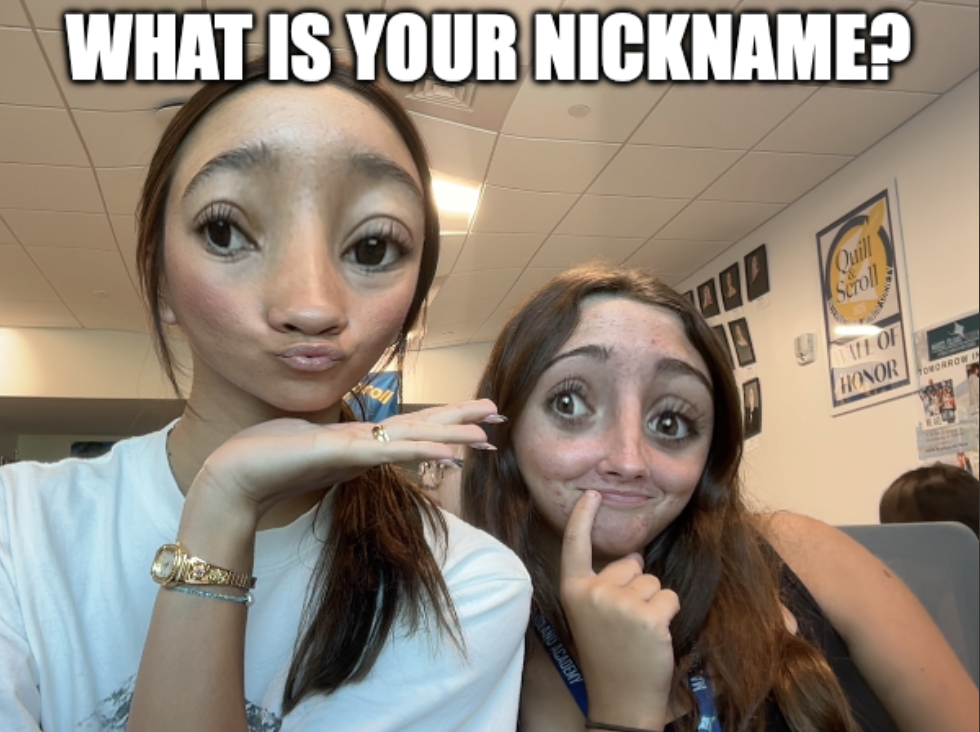 What is Your Nickname?